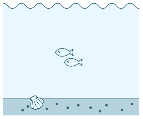 図：小魚・貝の減少